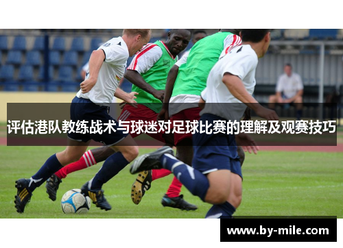 评估港队教练战术与球迷对足球比赛的理解及观赛技巧