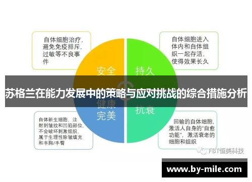 苏格兰在能力发展中的策略与应对挑战的综合措施分析