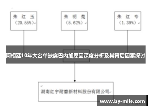 阿根廷10年大名单缺席巴内加原因深度分析及其背后因素探讨